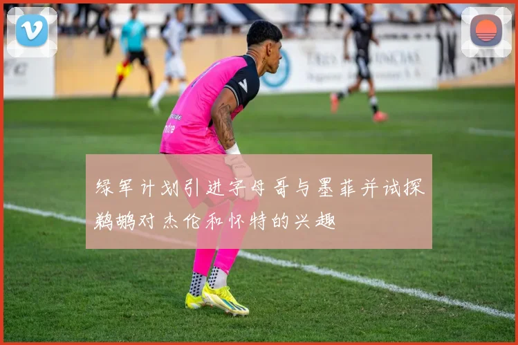 绿军计划引进字母哥与墨菲并试探鹈鹕对杰伦和怀特的兴趣