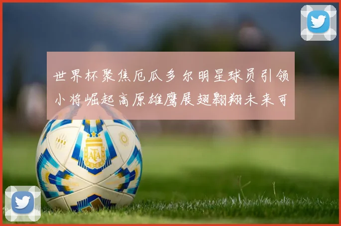 世界杯聚焦厄瓜多尔明星球员引领小将崛起高原雄鹰展翅翱翔未来可期